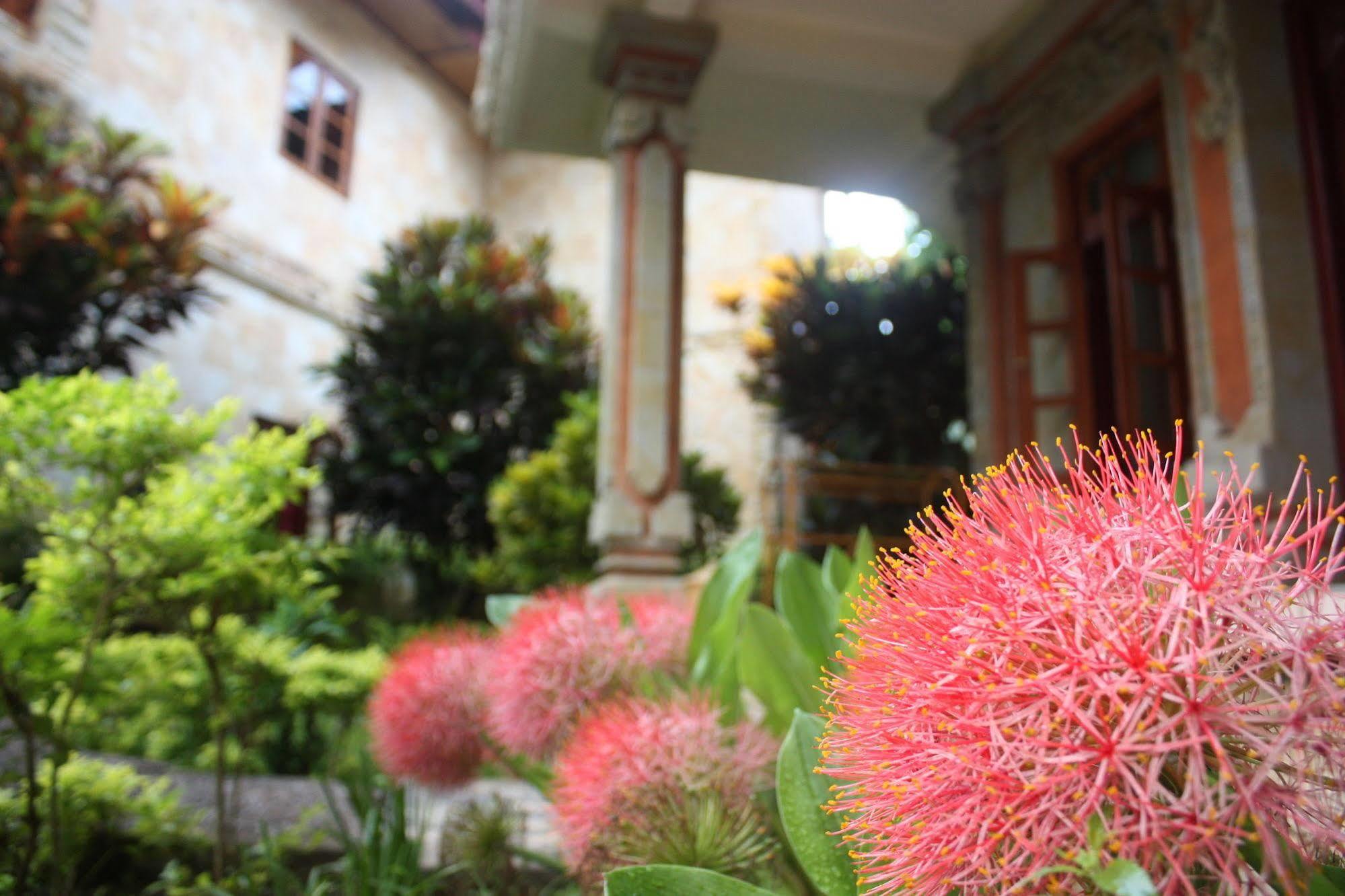 Lovina Rambutan Boutique Hotel מראה חיצוני תמונה